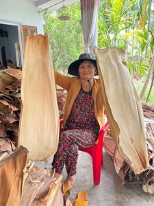 [MEJOR CALIFICADO] Juego de Platos Cuadrados Modernos con Diseño Personalizado de Hoja de Palma de Areca, Vajilla Sostenible para Food Truck, Blue Lotus Farm - Product Image 4