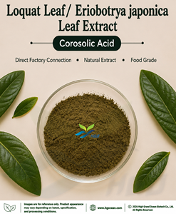 Suministro directo de fábrica de HGO hoja de níspero natural pura/extracto de hoja de Eriobotrya Japonica (grado alimenticio) Ácido corosólico 5% - Product Image 1