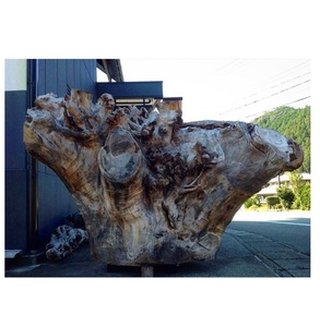 Matériaux bruts uniques en bois de camphre, rondins décoratifs longs et ronds, prix personnalisé - Product Image 1
