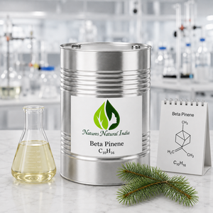 Beta Pinene <b>Essential</b> <b>Oil</b> 100% Pure Natural Pine Peel Extract Cold Pressed Industrial Grade Liquid Natures Natural India <b>Oils</b> - Product Image 1