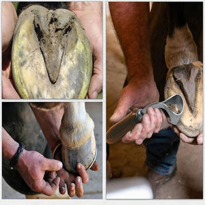 Couteau à sabots professionnel en acier inoxydable, instrument chirurgical réglable, réutilisable, écologique, pour chevaux, main droite, coupe lisse - Product Image 6