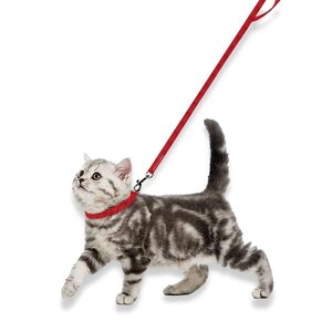 Plain <b>Dog</b> Collar & Leash Set OEM ODM Custom Logo Adjustable Nylon Pet Set Direct Manufacturer - Product Image 4