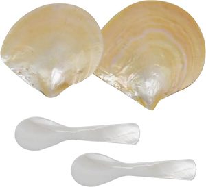 Cuillère en nacre de caviar, artisanale de qualité supérieure, en coquillage naturel non réactif, pour service de fruits de mer, vente en gros, fournisseur Vietnamien - Product Image 1