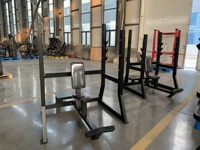 Equipo de Gimnasio Comercial ISO DY Low Row para Entrenamiento de Espalda y Brazos con Características de Seguridad, Construcción de Acero