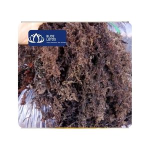 [HIGH QUALITY] | Wholesale BLUE LOTUS <b>Dried</b> Seamoss for Food Processing Culinary Recipe Dessert Material Vietnam 24 Month Shelf - Product Image 1