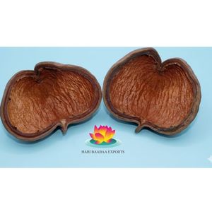 ยามูนา ฝักบัลมอสแห้งธรรมชาติรักษ์โลก (ขนาดใหญ่) สำหรับตู้ปลา - Product Image 3