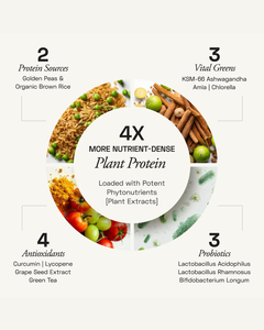 Proteína Vegetal Diaria a Base de Plantas al Mejor Precio, Sabor a Vainilla, Proteína Vegetal en Polvo, Sabor Suave, Sin Lácteos, Sin Gluten - Product Image 3