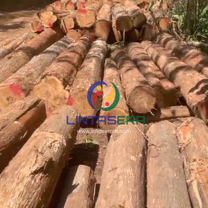 Premium Golden Teak Wood <b>Logs</b> from Thailand for Furniture Manufacturing Woodworking or Construction - Product Image 5