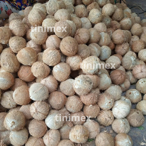 มะพร้าวปอกเปลือกเกรดส่งออก (Coco seco descascado, Cocco secco) สำหรับผู้ซื้อนำเข้า (WA +84914319488) - Product Image 3