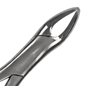 Pinzas de Extracción Ergonómicas Universales de Acero Inoxidable # 151 Extractor de dientes quirúrgico de mango verde para dientes inferiores - Product Image 4