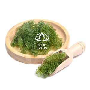 Algues de mer séchées durables de haute qualité du Vietnam (Caulerpa Lentillifera) – Riche en nutriments – Vente en gros - Product Image 1