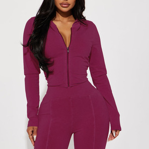 New Best Seller Women's Solid Purple Knitted Long Sleeve Flared Pants Set Full Length Skinny Fit 2Piece Hooded <b>Top</b> & Pants Sets - Product Image 3