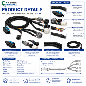 Faisceau de câblage automobile personnalisé avec gaine tressée et connecteurs multi-types pour la réparation du module de commande ECU de voiture - Product Image 3