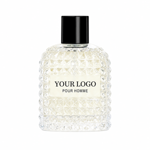 Luxury Eau de Perfume 100ml Men's Cologne Classic Premium OEM ODM Daily Long Lasting Natural Hot Selling Brand Cologne For Him - Product Image 1