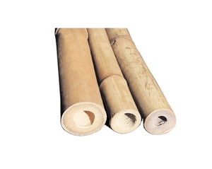 Pôles en bambou naturel et écologique du Vietnam pour clôtures de jardin de haute qualité et construction de supports agricoles, échafaudage - Product Image 2