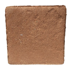 Bloque de Turba de Coco de Primera Calidad al por Mayor, 5 kg, Ideal como Medio de Cultivo |   Fabricante y Exportador de la India |   GEEWIN EXIM - Product Image 1