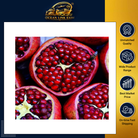 Verse granaatappels, geselecteerd premium rood fruit voor voedselverwerking, groothandelsleverancier