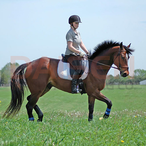 Pantalones de Montar para Mujer con Agarre de Silicona, Cintura Alta, Tela Elástica, Cómodos para Montar a Caballo - Product Image 5
