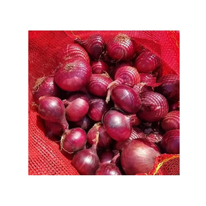 Cebolla Roja de Alta Calidad, Mejor Precio Directo de Fábrica, 100 kg, 2 Años de Duración, Cebollas Frescas de la Cosecha - Product Image 1