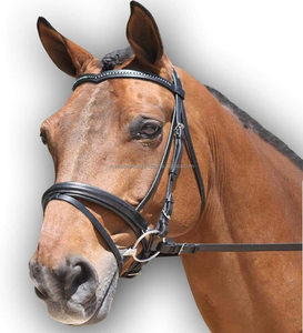 Y&Z Enterprises Bridon en cuir souple de qualité supérieure, rembourré et façonné pour cheval - Taille et couleur personnalisables - Product Image 1