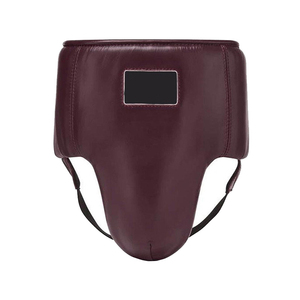 Top Quality Groin Guard Protector Groin Shell MMA Boxing Sports Boxing Protection Groin Guard with Custom Logo Martial Art - Product Image 1
