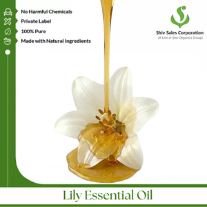 High Quality Lily Essential Oil for <b>Aromatic</b> Blends, Personal Care Applications and Consistent Bulk Supply for Export Businesses - Product Image 5