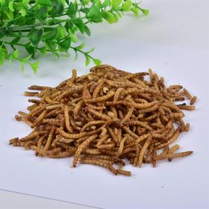 Kurutulmuş Un Kurdu Larvaları %54 Proteinli Sığır, At, Köpek ve Domuz Yemi - Product Image 4