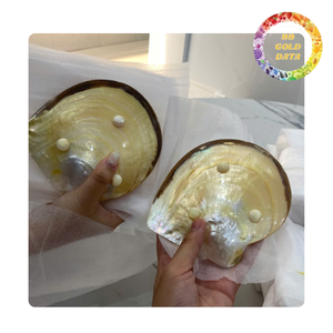 จานเปลือกหอยมุกขัดเงา งานแฮนด์เมด สำหรับตกแต่งบ้านและเป็นของขวัญ - Product Image 3