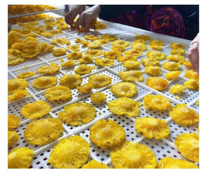 Ananas séché en tranches de qualité supérieure du Vietnam - Snack de fruits tropicaux pour les acheteurs en gros - Product Image 5