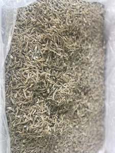 ปลาแอนโชวี่แห้งคุณภาพเยี่ยม สะอาดพิเศษ เหมาะสำหรับทำอาหารแบบดั้งเดิม และเป็นวัตถุดิบอเนกประสงค์สำหรับสร้างรสชาติที่หลากหลาย - Product Image 3