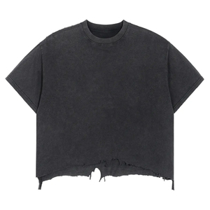 Wholesale Men's <b>Hip</b> Hop Sports T-Shirts 100% Cotton Knitted Regular Fit Quick Dry Breathable High Quality Short Sleeve - Product Image 1