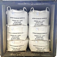 Hydroxyde de calcium de haute qualité Ca(OH)2 Chaux calcinée en poudre 90% Min Solutions minières Traitement de l'eau Dessiccant en morceaux