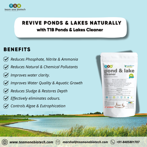 Polvo Limpiador Natural para Estanques, Maquinaria para Tratamiento de Agua con Bacterias Beneficiosas - Product Image 2