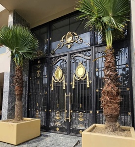 Porte d'entrée principale victorienne haut de gamme en fer forgé avec motif en laiton et verre, pour entrée extérieure résidentielle de luxe, sur mesure - Product Image 3