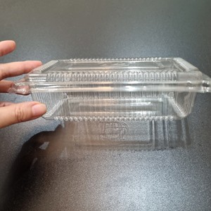 BPA Free Custom logo Food <b>Container</b> Fruit Fresh Keeping Packaging <b>Box</b> Food-grade PET <b>Container</b> Clear Plastic Customized Cake <b>Box</b> - Product Image 6