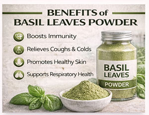 Poudre de feuilles de Tulsi biologique de qualité supérieure, 99 % pure, séchée à l'air chaud, extrait végétal de qualité alimentaire |   Approvisionnement en gros sous marque privée - Product Image 6