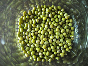 Frijoles Mung Verdes Orgánicos Deshidratados, Frijoles Vigna, Envasados al Vacío, Proceso FD, Ingrediente Alimentario a Granel - Product Image 4