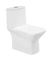 Classique De Luxe Blanc Coloré Bidet Toilette En Céramique Une Pièce Sanitaire Salle De Bains Commode WC Cuvette De Toilette