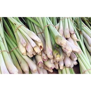 ACEITE ESencial de CITRÓNOLIMA para SPA 50ML VIETNAM |   Fragancia para el Hogar y Aromaterapia - Product Image 4