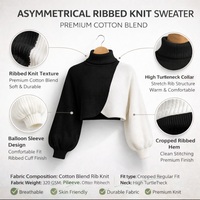 Pull-over d'hiver asymétrique côtelé en maille pour femme, avec broderie 3D et sequins, respectueux de l'environnement, col roulé, manches classiques, OEM/ODM