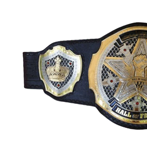 Cinturón de Campeonato del Salón de la Fama, Diseño Personalizable en Negro y Dorado, Título de Lucha Libre Premium, Artículo de Colección - Product Image 4