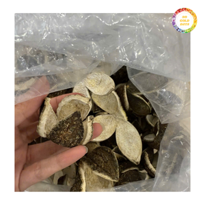 Tranches d'Écorce d'Orange Séchée de Qualité Supérieure à Prix Compétitif pour la Fabrication de Thé, la Cuisine et l'Industrie Alimentaire - Product Image 2