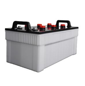 Boîtier de batterie en plastique N200 pour camion Vietnam OEM/ODM Fourniture d'usine d'un boîtier de batterie automobile solide, fiable et abordable - Product Image 1