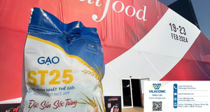 VILACONIC ST25 Premium fragante Basmati Japonica Rice El mejor arroz de textura dura seca del mundo Long Direct Vietnam + 84916477392 - Product Image 2