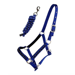 Custom Design Strong Stitched Leather Horse Halter Head Collar Horse Equipment Equestrian Saddle Goods With Brass Hardware - Product Image 5