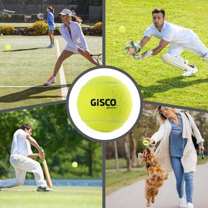 ลูกเทนนิสคริกเก็ต - Product Image 5