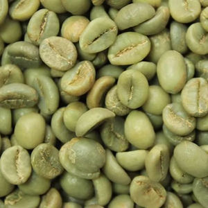 Factory Price Vietnam Specialty Robusta Green Coffee <b>Beans</b> Size 18 Low Defect 0.1% AA+ Grade ISO 22000 Certified TNFOOD Brand - Product Image 1