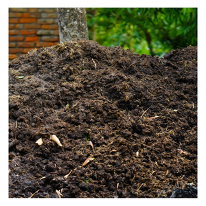 Mejores Ofertas de Estiércol de Vaca en Grandes Cantidades, 100% Natural, Residuos Agrícolas Exportados en Forma de Polvo de Estiércol de Vaca para la Venta - Product Image 1