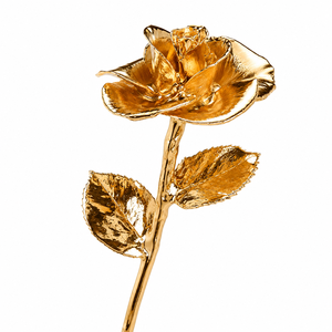 Rosa Natural Bañada en Oro de 24k con Caja de Regalo de Lujo, Rosa Dorada Hecha a Mano, Regalo Premium para Aniversario y Día de San Valentín para Ella - Product Image 6
