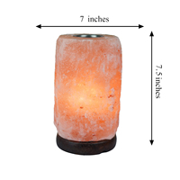 Lampe aromatique en sel de roche de l'Himalaya avec bol diffuseur en acier inoxydable, cadeau bien-être, fabricant exportateur, commandes personnalisées